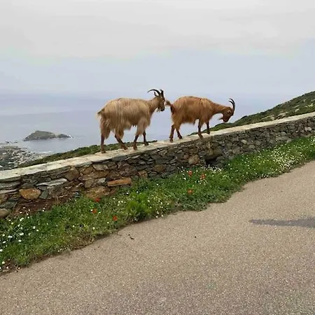 Marie Cap Corse Sentier Douaniers * Centuri